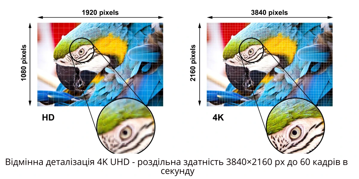 Inext TV-X Підтримує Ultra HD